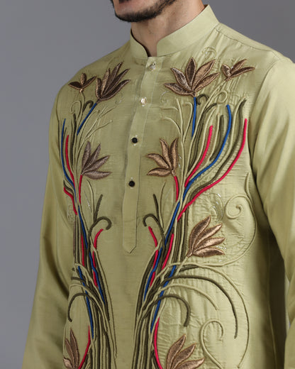 Olive Kurta Set with Multicolour Hand Embroidery